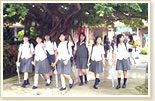 �C�w���s