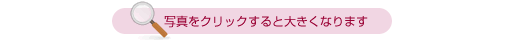 �ʐ^���N���b�N����Ƒ傫���Ȃ�܂�
