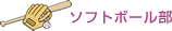�\�t�g�{�[��