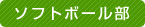 �\�t�g�{�[����