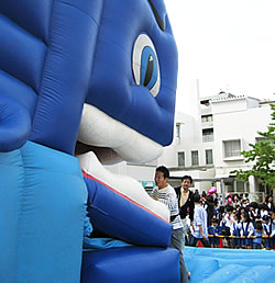 円らな瞳に誘われて
