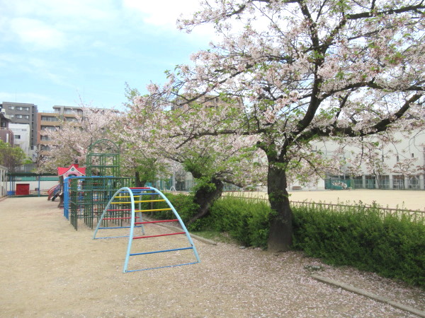 トピックス 城星学園幼稚園 カトリックミッションスクール 大阪市中央区