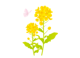 第8号イラスト
